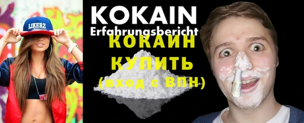 прущие грибы Армянск