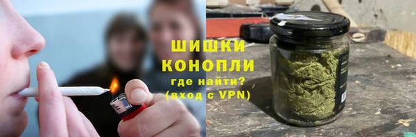 прущие грибы Армянск