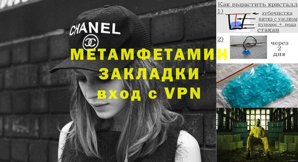 прущие грибы Армянск