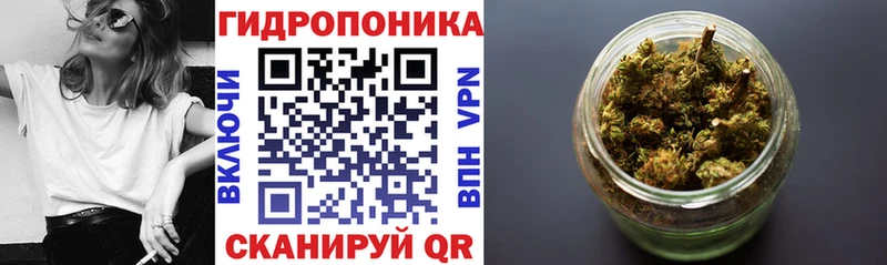 дарк нет клад  цены наркотик  Балей  Бошки марихуана семена 